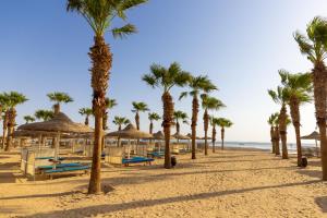 a beach with palm trees and umbrellas and the ocean at Amwaj Beach Club Abu Soma in Hurghada +75 photos