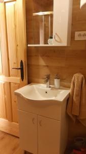 W łazience znajduje się biała umywalka i lustro. w obiekcie Fruskogorske brvnare w mieście Velika Remeta