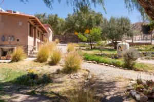 a garden with tall grass and flowers in front of a house at Posada Suri Huasi in Tilcara