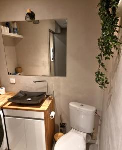 La salle de bains est pourvue de toilettes blanches et d'un miroir. dans l'établissement st Laurent cocon, à Pont-à-Mousson