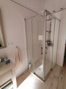 eine Dusche mit Glastür im Bad in der Unterkunft La Casita de Sandra in Alora