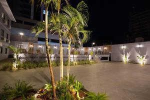 uma palmeira em frente a um edifício à noite em Safa Hotel Foz em Foz do Iguaçu