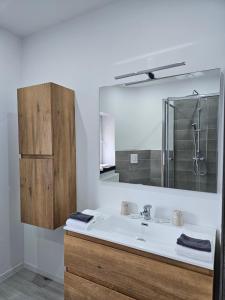 ein Badezimmer mit Waschbecken und Spiegel in der Unterkunft Appart'Hôtel Trazegnies in Courcelles