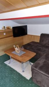 Televízia a/alebo spoločenská miestnosť v ubytovaní Gästehaus Christl