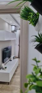 TV in/ali zabaviščno središče v nastanitvi Apartman Ivkovic