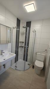 a bathroom with a shower and a toilet and a sink at Ferienwohnung Sorgenfrei - Parkplatz, Balkon & Terrasse in Coburg