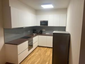 Kuchyň nebo kuchyňský kout v ubytování Apartmán Medvědín