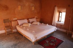 1 dormitorio con 1 cama grande en una habitación en Tigmi Hamid, en Aït Ben Haddou