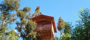 a tree house with a balcony in between two trees at TREE HOUSE BY THE CITY ESCAPE in Shimla