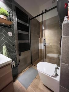 Koupelna v ubytování Bocskai Apartman + 27 fotografií