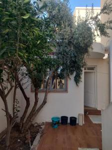 a house with a tree and two buckets at Tiba soliman plage in Nabeul