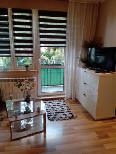 Televízia a/alebo spoločenská miestnosť v ubytovaní Apartament Zibi