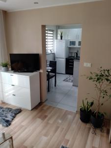 a living room with a kitchen and a dining room at Apartament Zibi in Zamość