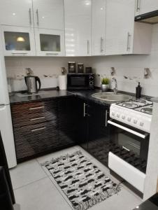 Kuchyňa alebo kuchynka v ubytovaní Apartament Zibi