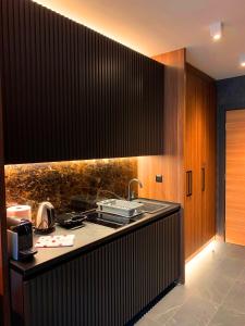 Kuchyň nebo kuchyňský kout v ubytování Woodside Kopaonik - Malo jezero, FREE Parking & SPA