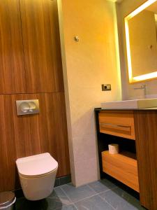 Koupelna v ubytování Woodside Kopaonik - Malo jezero, FREE Parking & SPA