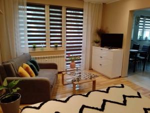 Televízia a/alebo spoločenská miestnosť v ubytovaní Apartament Zibi