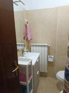 uma casa de banho com um lavatório e um WC em la casina accogliente em Pisa