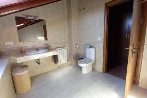 ein Badezimmer mit Toilette, Waschbecken und Spiegel in der Unterkunft Dúplex rodeado de naturaleza, bodegas e historia in Sojuela + 21 Fotos