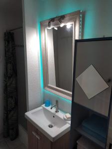 ein Bad mit einem Waschbecken und einem Spiegel in der Unterkunft MER, BATEAUX, Canaux in Sète