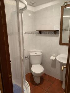 a small bathroom with a toilet and a sink at Casa Altemir in Campo +99 photos