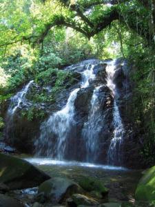 a waterfall in the middle of a forest at Paraíso de luxo: sua casa dos sonhos in Angra dos Reis