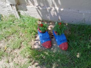 parę butów z roślinami w trawie w obiekcie maria corfu apartments w mieście Mesongi