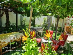 a garden with chairs and a table and trees at Cardones de Molinos in Molinos