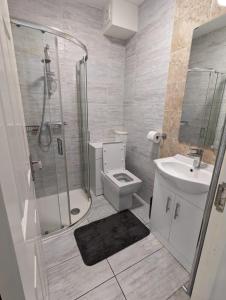 a bathroom with a shower and a toilet and a sink at RAHAL BARNET in Barnet