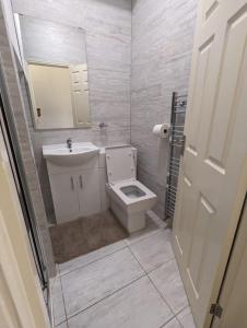 uma casa de banho com um WC, um lavatório e um espelho. em RAHAL BARNET em Barnet