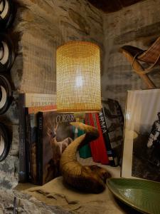 une lampe assise au-dessus d'une table avec des livres dans l'établissement Casa Altemir, à Campo