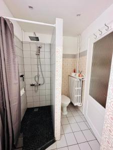 een badkamer met een douche en een toilet bij Le 8 in Mutzig
