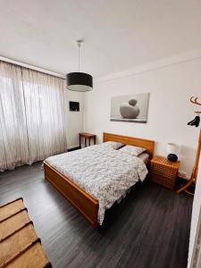 een slaapkamer met een groot bed in een kamer bij Le 8 in Mutzig