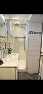 a bathroom with a shower and a white sink at SUPERBE 2P MEZZANINE AU COEUR DU VIEIL ANTIBES in Antibes