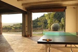 a ping pong table in a room with a view of a yard at Mas Cal Gira in Moià