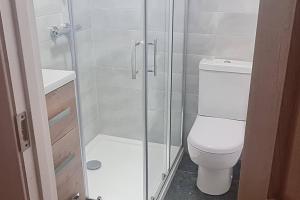 La salle de bains est pourvue de toilettes et d'une douche en verre. dans l'établissement Petit Lough Arrow cottage, 