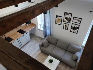 - Vistas a la sala de estar con sofá en Konopnickiej 9 Loft z antresolą, en Pabianice