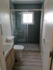 a bathroom with a shower and a toilet and a sink at Baleal Atlantic 6 in Baleal