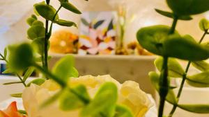 a close up of a plant with white flowers at Les Rêves d'Églantine et d'Augusta Chambres et Gîtes in Saint-Cyr