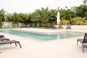 - une piscine avec des chaises longues et des palmiers dans l'établissement Emerald Apt at Maho Beach, à Maho Reef