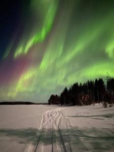 une image de l'aurore boralis sur un champ enneigé dans l'établissement Wilderness Cabin Onnela, à Rovaniemi