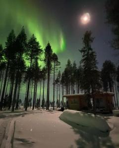 an image of the northern lights in the sky with trees at Wilderness Cabin Onnela in Rovaniemi