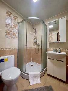 uma casa de banho com um chuveiro, um WC e um lavatório. em Sadyba u Halyny em Bukovel