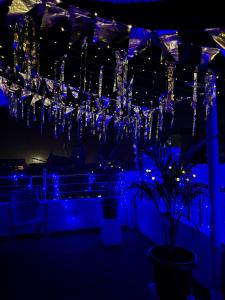 a blue room with chandeliers and plants and lights at Gully Ghar in Varanasi