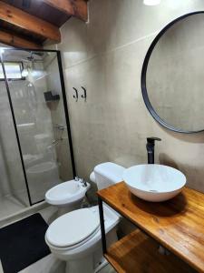 ein Badezimmer mit einem Waschbecken, einem WC und einem Spiegel in der Unterkunft Casa 2 ambientes en Tesei, Hurlingham in Morón