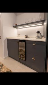 uma cozinha com um balcão com um lavatório e um micro-ondas em MEDITERRÀNIA RURAL em Cabanes