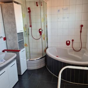 a bathroom with a tub and a shower and a sink at Wilhelm Busch Stube in Ebergötzen