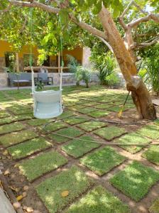 - un hamac suspendu à un arbre dans la cour dans l'établissement Casa caju, à Santa Cruz Cabrália