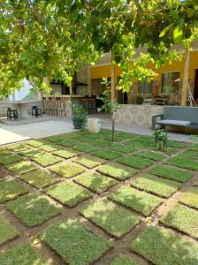 un jardin avec pelouse et banc et un bâtiment dans l'établissement Casa caju, à Santa Cruz Cabrália