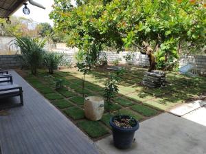 Jardin de l'établissement Casa caju